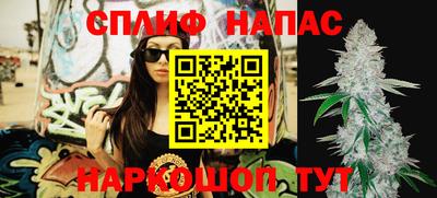 стафф Можга