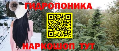 стафф Можга