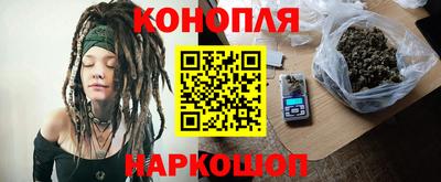 Альфа ПВП Моздок