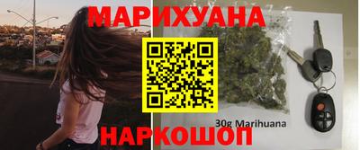 Альфа ПВП Моздок