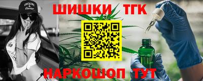 Альфа ПВП Моздок