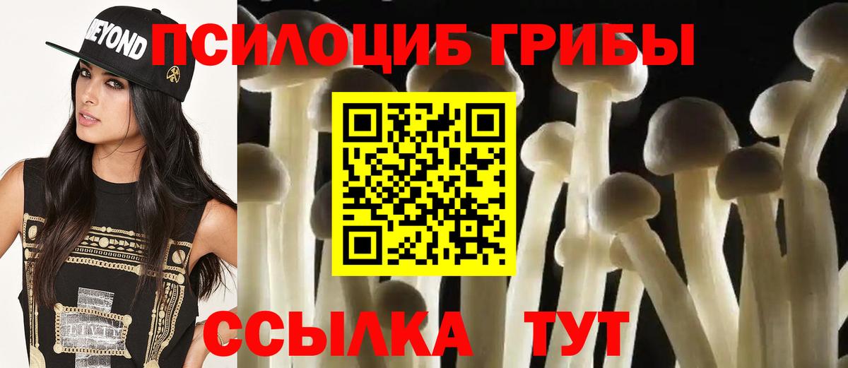 Псилоцибиновые грибы мицелий  Вход с VPN  цена   Сочи 